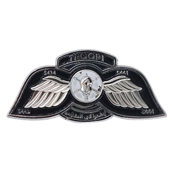 Troop 1, 4th Battalion, 5th Special Forces Group (Airborne) 2 1/2"