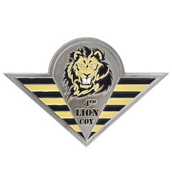 Task Force Solid, 21st Engineer Battalion "Rak Solid"