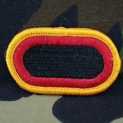 Patch, 101st Airborne Division Without Tab, Color