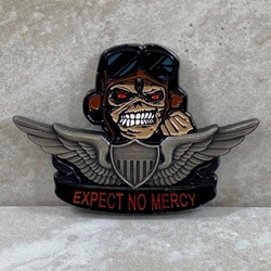 1st Battalion, 101st Aviation Regiment "Expect No Mercy"