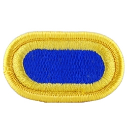 Patch, 101st Airborne Division Without Tab, Color