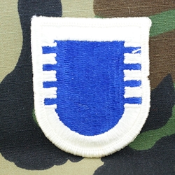 Patch, 101st Airborne Division Without Tab, Color