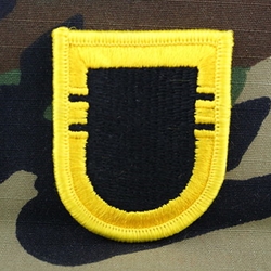 Patch, 101st Airborne Division Without Tab, Color