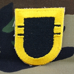 Patch, 101st Airborne Division Without Tab, Color