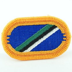 Patch, 101st Airborne Division Without Tab, Color